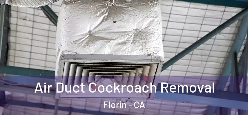  Air Duct Cockroach Removal Florin - CA