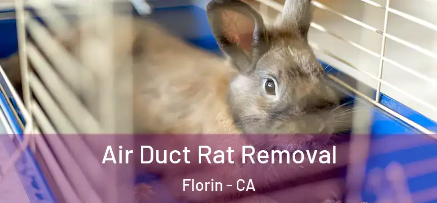 Air Duct Rat Removal Florin - CA