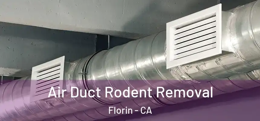 Air Duct Rodent Removal Florin - CA