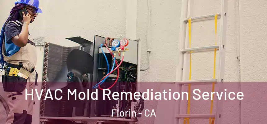  HVAC Mold Remediation Service Florin - CA