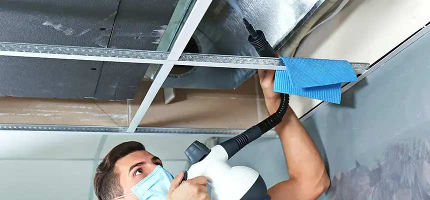 Our Air Duct Rodent Removal Services in Florin, CA