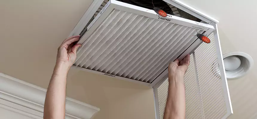 Our Insect Removal from Air Ducts Services in Florin, CA