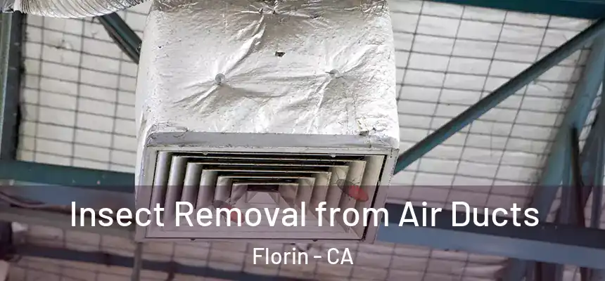 Insect Removal from Air Ducts Florin - CA