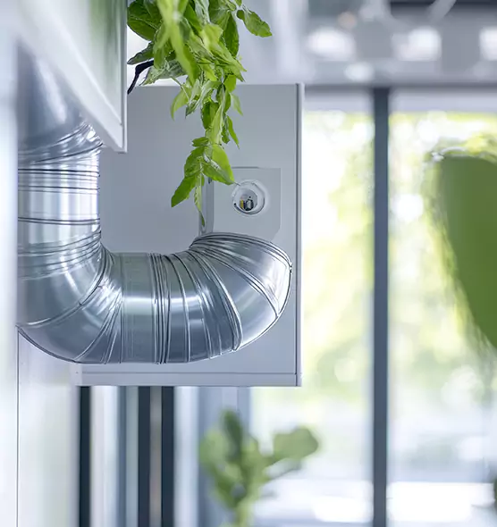 Professional Eco-Safe Dryer Vent Cleaning in Florin, CA