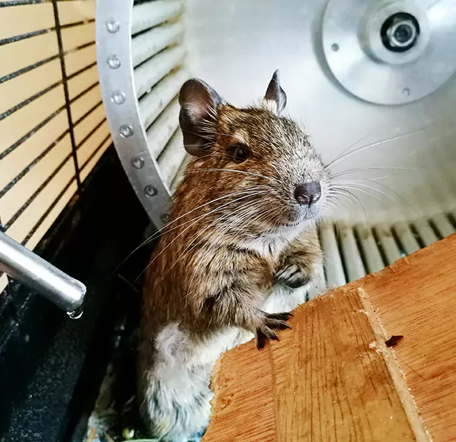 Why Homeowners & Businesses Trust Us Florin, CA