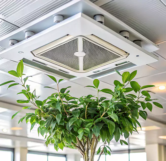 Why Homeowners & Businesses Trust Us in Florin, CA?